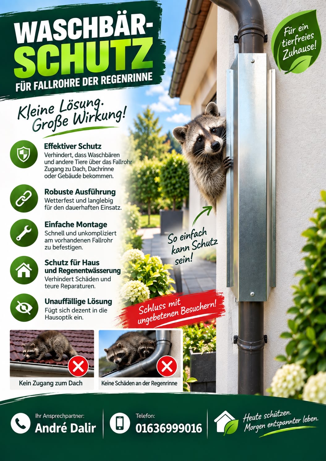 Waschbärschutz an einem Fallrohr